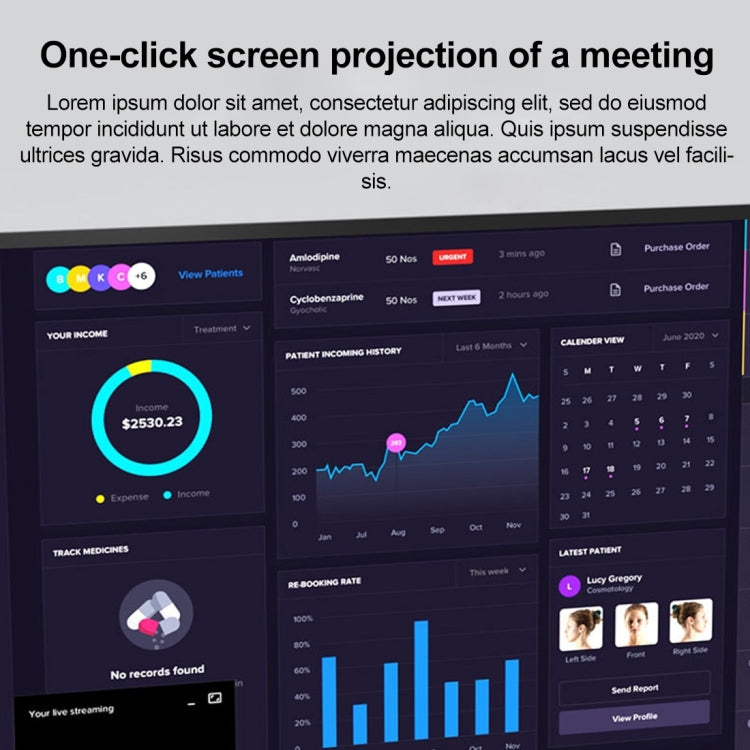 BYL-2410 9 in 1 Type-C to USB Multi-function Docking Station, BYL-2410