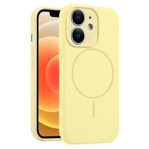 Fine Hole Liquid Silicone MagSafe Phone Case, For iPhone 13, For iPhone 12