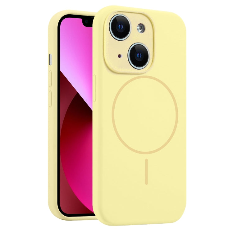 Fine Hole Liquid Silicone MagSafe Phone Case, For iPhone 13, For iPhone 12