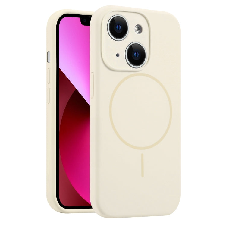 Fine Hole Liquid Silicone MagSafe Phone Case, For iPhone 13, For iPhone 12