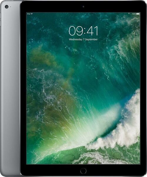 iPad Pro (2015) | 12.9" | 128 GB | 4G | space gray 1